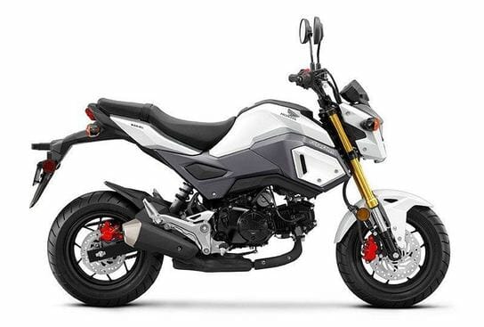 Honda Grom beginner motorcycle
